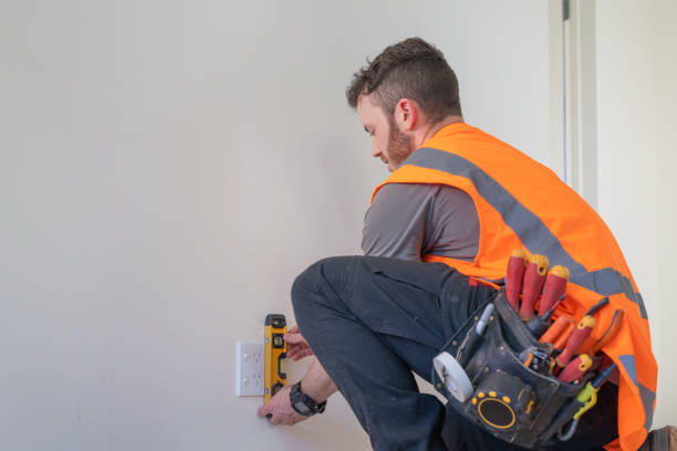 Best Electric Panel Repair  in Greenfield, TN